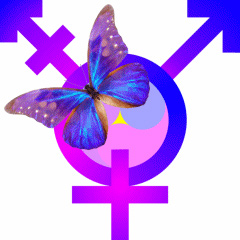 transgender symbol with butterfly
