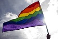 Rainbow-flag sml