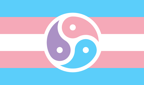 Transgender Flag