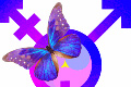 transgender symbol with butterfly