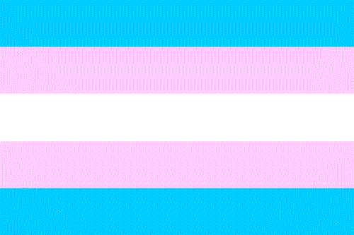 trans pride flag