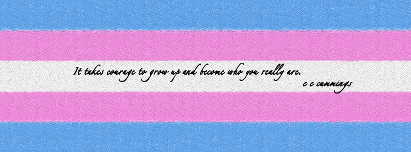 transgender flag by kabit