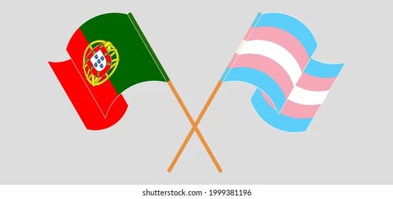Portugal: UN osporava predloge za zakon o rodnom identitetu